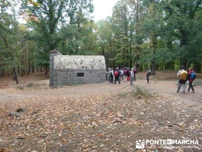 Senderismo por El Castañar de El Tiemblo - Senderismo Ávila